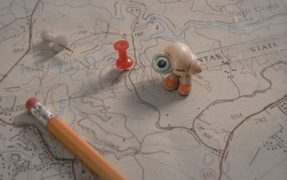 Marcel the Shell With Shoes On: El cuento del caracolito que se hizo viral