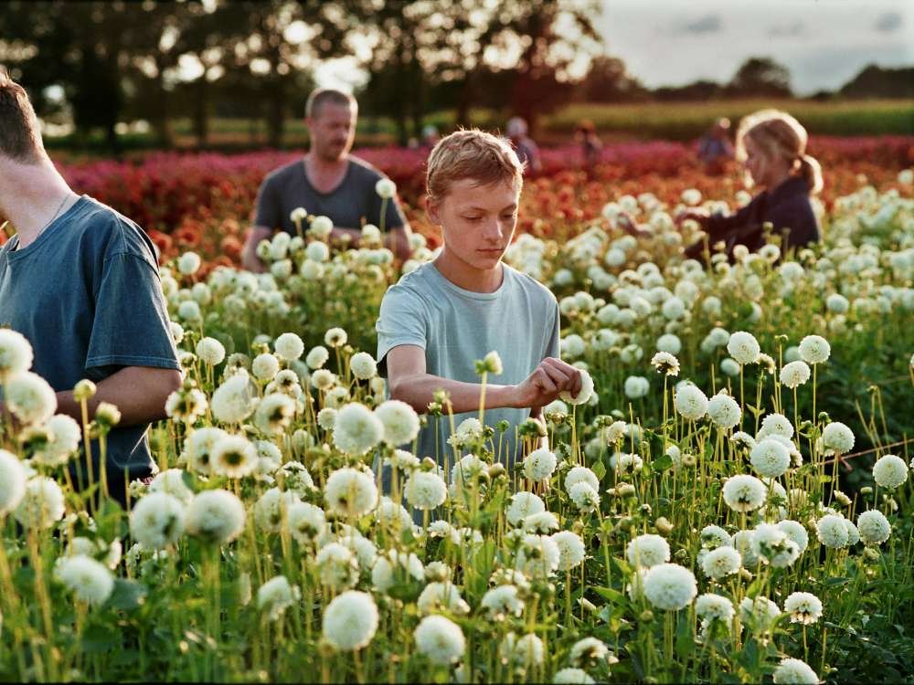 close Close: la gran película sobre la inocencia interrumpida que fue nominada al Oscar