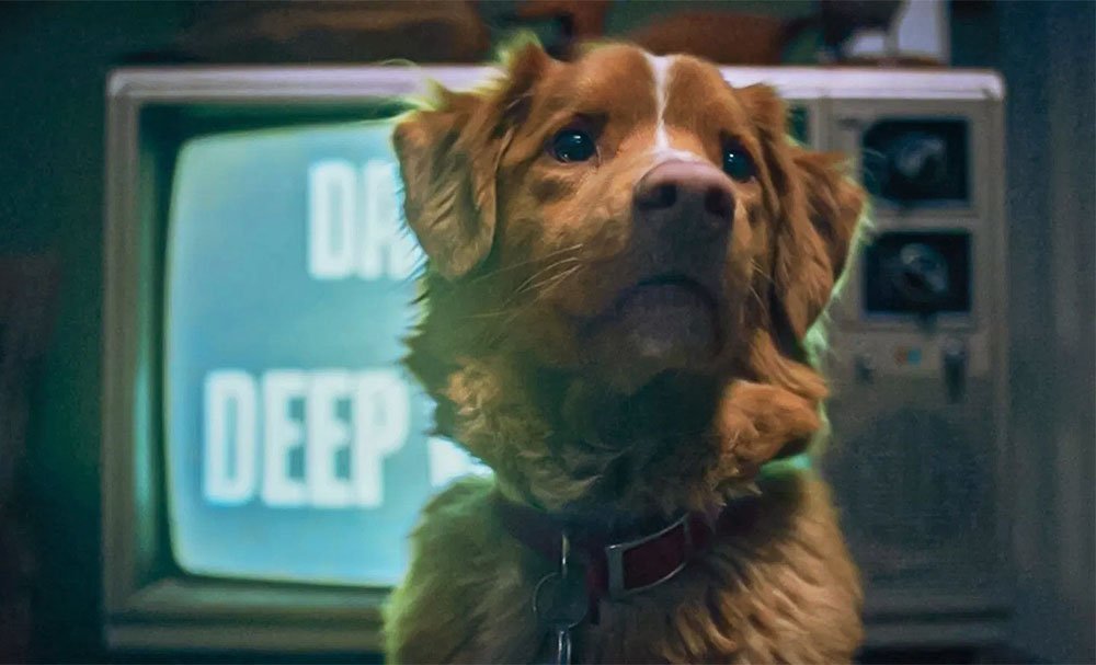 Good Boy: un drama sobrenatural contado desde el punto de vista de un perro